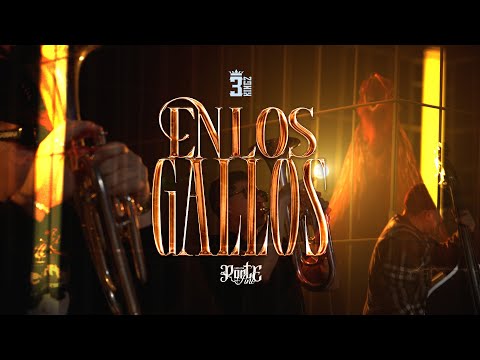 Los De Porte Fino - En Los Gallos (Video Oficial) 3KG 2025