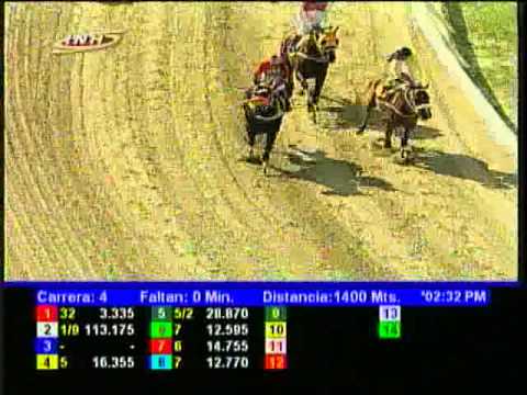 Resumen Domingo, 28 de Septiembre de 2014 - La Rinconada