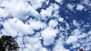 Matthew Sweet and Susanna Hoffs - "Different Drum"