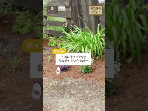 冬の美しい庭を作る、凍らない屋外植物10選  庭園