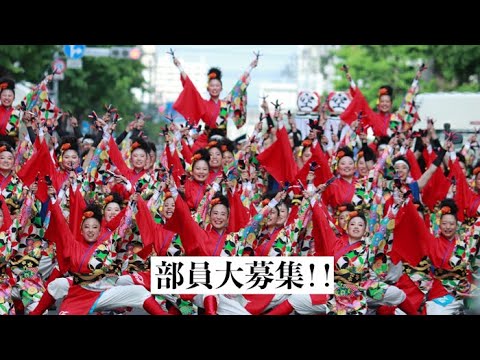 札幌国際大学YOSAKOIソーラン部紹介動画