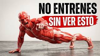Antes de Entrenar, Mira Esto (Guía + Rutina Completa)