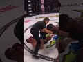 Daniel James powerful punches to TKO at Bellator 293 ? #shorts #bellator293