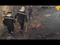 الجزائر.. تواصل عمليات مكافحة الحرائق في مدينة خنشلة..