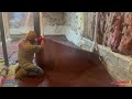 Encapsulating and Waterproofing a Dirt Floor Crawl Space