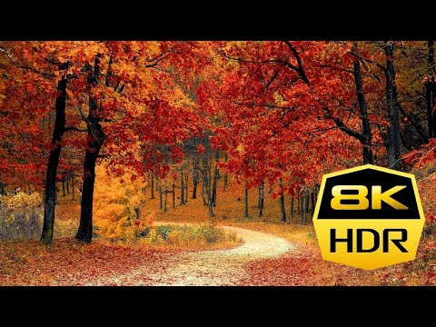Enchanting autumn in 8K UHD - stunning fall scenes of nature | ULTRA HD 8K