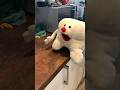 A Lotta Sugar In Those Drinks Timothytooth Teeth Dentist Puppet Meme Memes Funny