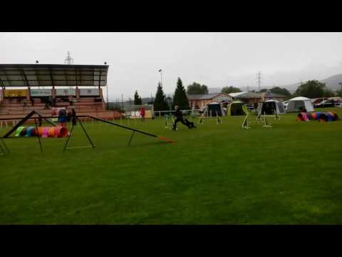 17.9.16. Málkov -agility