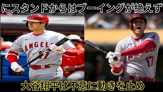 Japanese baseball news, 日本プロ野球ニュース, NPB , Shohei Ohtani latest news, Dodgers breaking news, ドジャース速報,