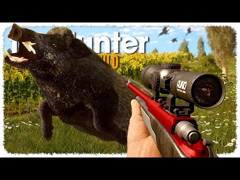 Hunting EVERY HOG (they call me the pig punisher) | theHunter: Call of the Wild