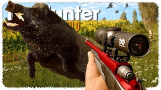 Download lagu Hunting EVERY HOG (they call me the pig punisher) | theHunter: Call of the Wild mp3