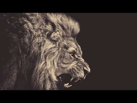 Paul Gabrieli - ID (Cut from Pauli Gabrieli live @ Mácháč 2023 (Main Stage))