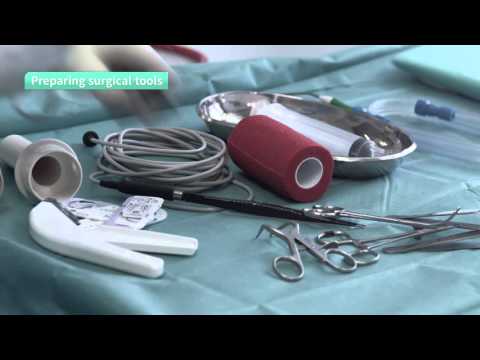 A look Inside a Veterinary Clinic with Scil Veterinary Orthopedic Instruments