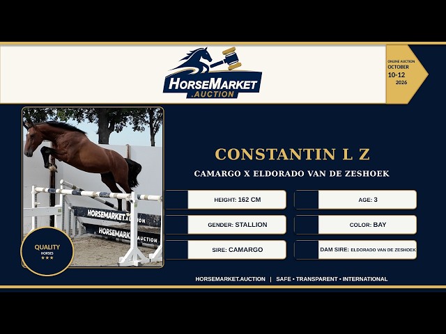 Constantin L Z