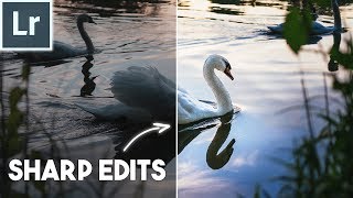 How to use the DETAIL PANEL in LIGHTROOM