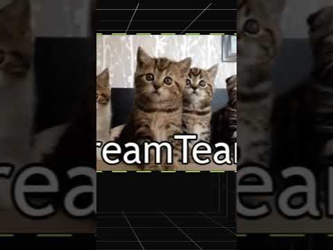 How to Spot a Rug Pull in Crypto? Tip #1