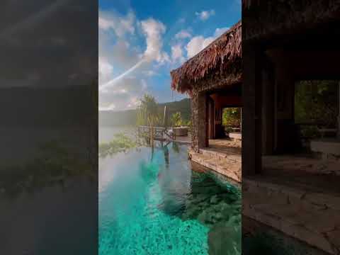 Private island treehouse goals 🌴 #shorts #tropical