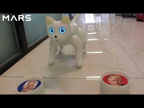 MarsCat | AI Robotic Cat Predict The Election| What's its forecast?