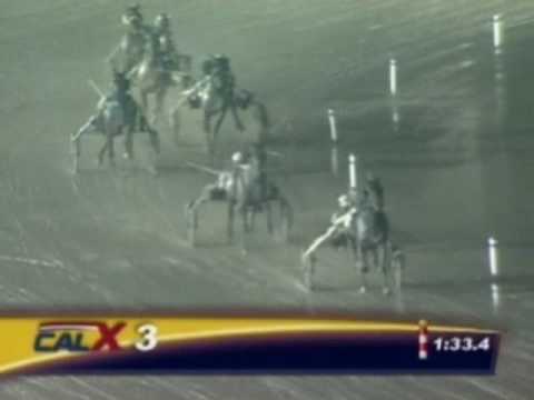 Harness Racing, Impossible Comeback! - Hitchhiker