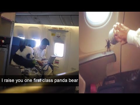 The Funniest Things That Have Ever Happened On A Plane