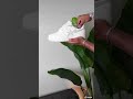 How To Make Your Shoes Last LONGER