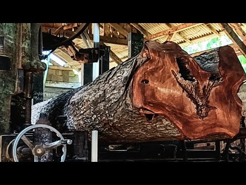 Amazing !! redwood sawmill process from start to finish