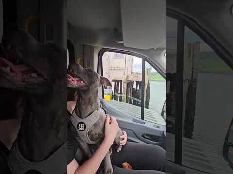 isle of lewis ferry uig to tarbert