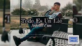 Todo Es Un Lio - Natanael Cano (Official Audio)😈