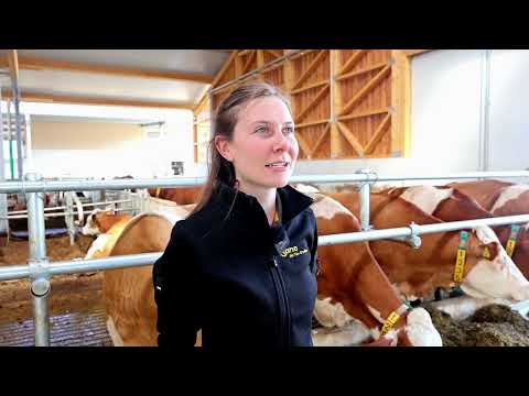 Neuer Stall mit Platz für 480 Kühe – Der gelungene Umzug von Sano Partnerbetrieb Graf in Regenstauf