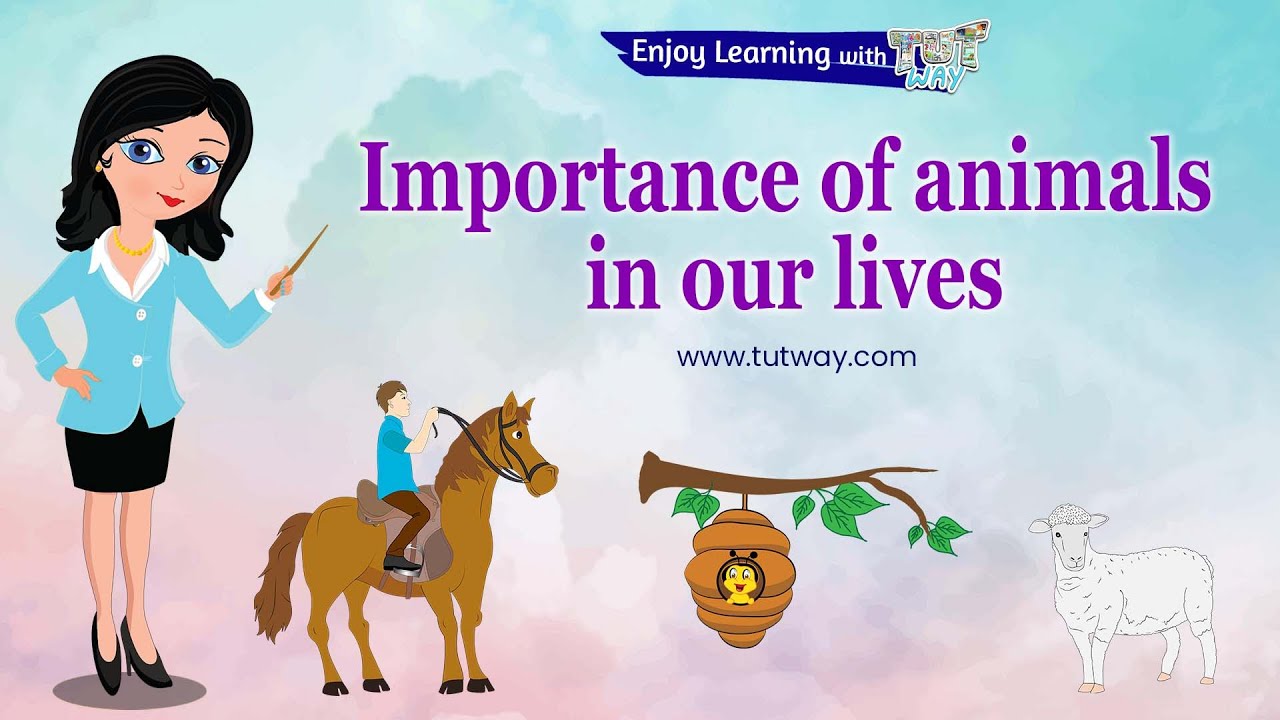 What is a sea lion's role in the ecosystem? Tipseri