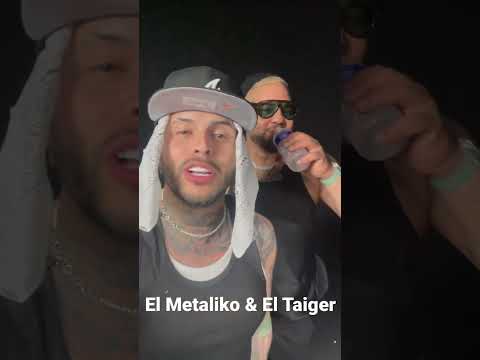 El metaliko & El Taiger improvisan