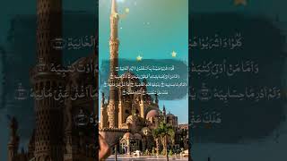 Download lagu 69 surah-al-haqqah veres 24-30| سورة الحاقة | arabic recitation | el sheikh mashary rashed el afasi mp3 Download lagu 69 surah-al-haqqah veres 24-30| سورة الحاقة | arabic recitation | el sheikh mashary rashed el afasi mp3