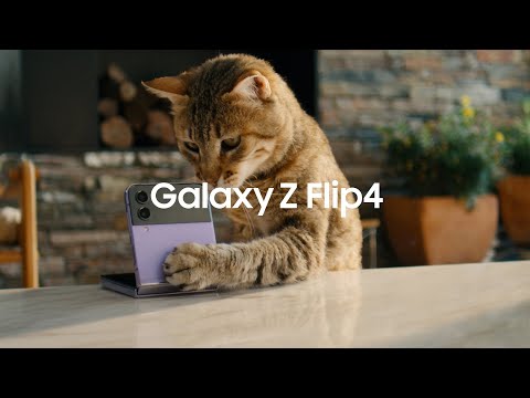 Galaxy Z Flip4: Launch Film | Samsung