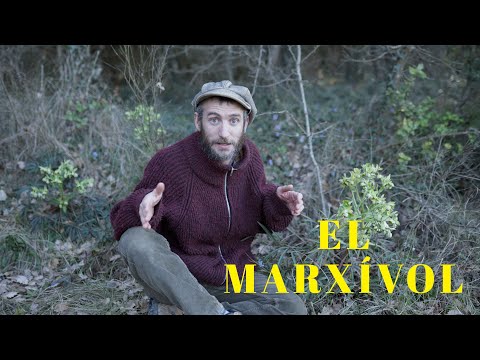 LES COSES QUE CREIXEN. Capítol 11. El marxívol