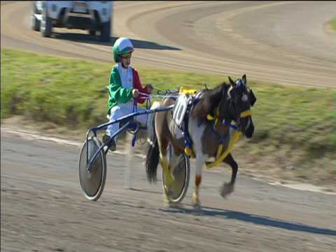 Trotto 30/04/2017 - 1ª corsa pony