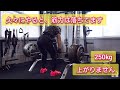 かなり筋力ダウン 久々のトップハーフデッド #筋トレ #デッドリフト #広背筋 #ハムストリングス