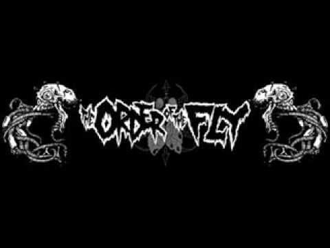 The Order Of The Fly - children of nuclear armageddon