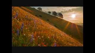 You Must Believe In Spring (Bill Evans)