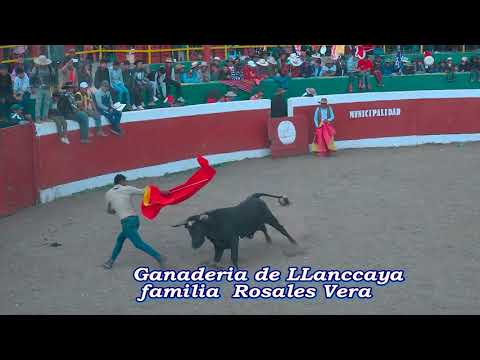 FAMILIA. NAVEDA NARVAEZ , MAYORDOMOS EN HONOR A VIRGIN DE ROSARIO DE ANTABAMBA - APURIMAC