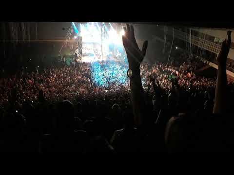 Velik si, 10.11.2018. GRIPE