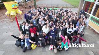 How did I become an exchange student?