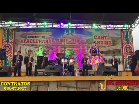 Ayacuchanos de Oro y Haydee Pizarro / Porque tú me dices que no me quieres