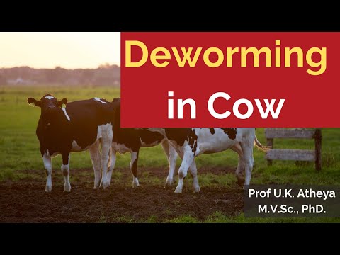 FENBENZIL 222 MG  FENBENDAZOLE TABLETS