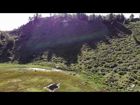 Drone Switzerland Feldis
