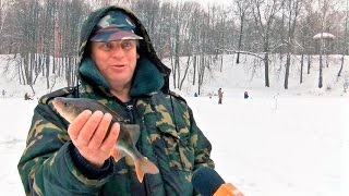 Рыбалка в сергиевом посаде платная