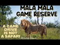 MALA MALA GAME RESERVE SOUTH AFRICA The TRUTH