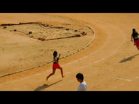 4x100 CF - Mrim 2018