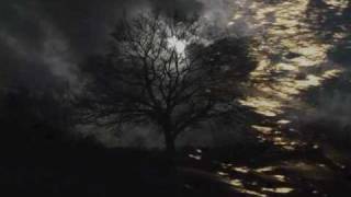 The Light - Proclaimers