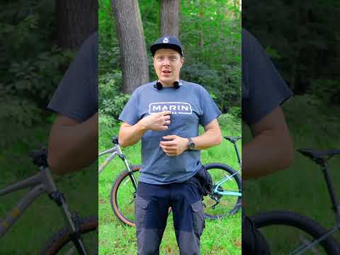 Marin: Wildcat 3 vs Bobcat 3