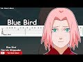Naruto Shippuden OP 3 - Blue Bird Guitar Tutorial